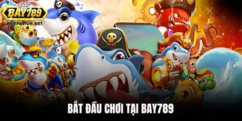 Bắt đầu chơi tại BAY789