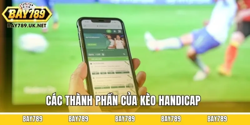 Các thành phần của kèo handicap