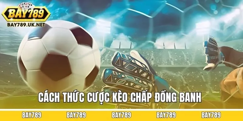 Cách thức cược kèo chấp đồng banh