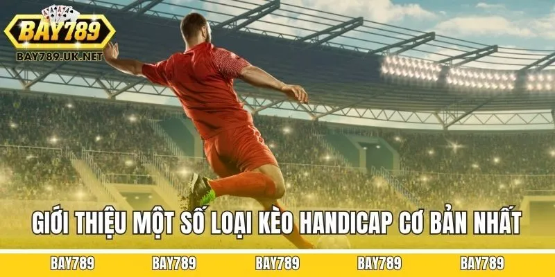 Giới thiệu một số loại kèo handicap cơ bản nhất