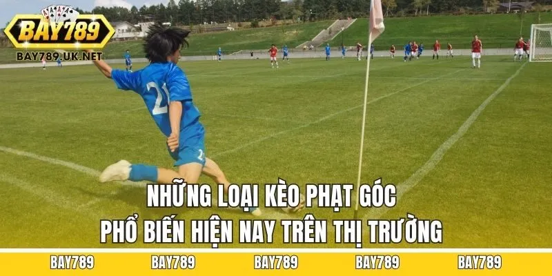 Những loại kèo phạt góc phổ biến hiện nay trên thị trường